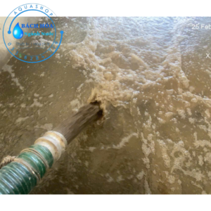 BÙN VI SINH HIẾU KHÍ GIÁ RẺ – GIẢI PHÁP TOÀN DIỆN CHO KHỞI ĐỘNG, PHỤC HỒI & TỐI ƯU HỆ THỐNG XỬ LÝ NƯỚC THẢI