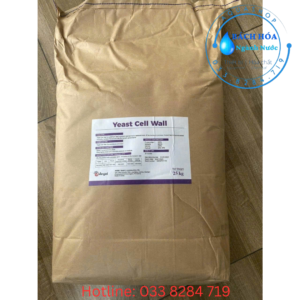 Yeast Cell Wall (Angel) – Giải Pháp Tăng Cường Miễn Dịch Và Bảo Vệ Đường Ruột Cho Thủy Sản, Chăn Nuôi