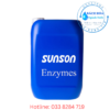 Enzyme xử lý bột giấy – Giải pháp enzyme cho ngành sản xuất giấy